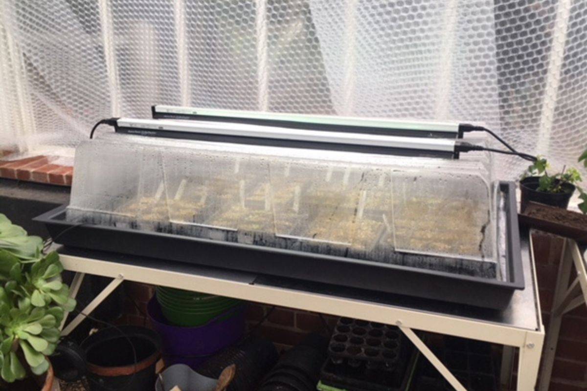 2026 Garden Planning Blog Propagator